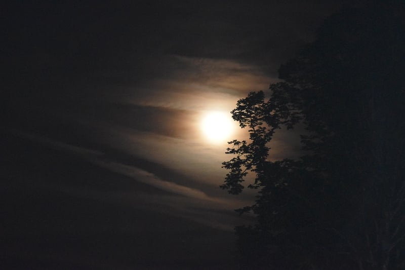 Moonlit Romance
