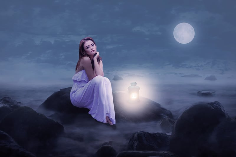Moonlight Garden